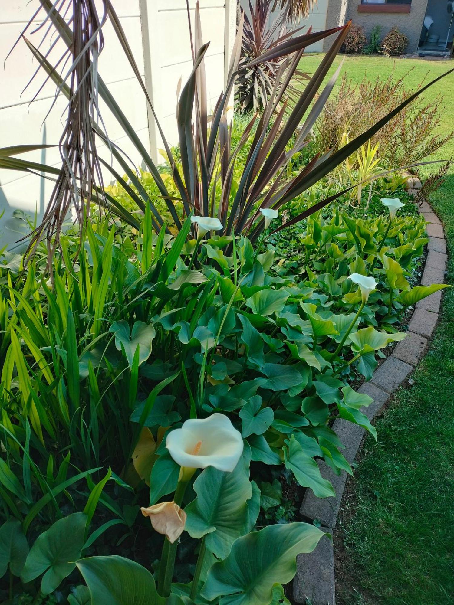 Easy Inn Guesthouse Welkom Bagian luar foto
